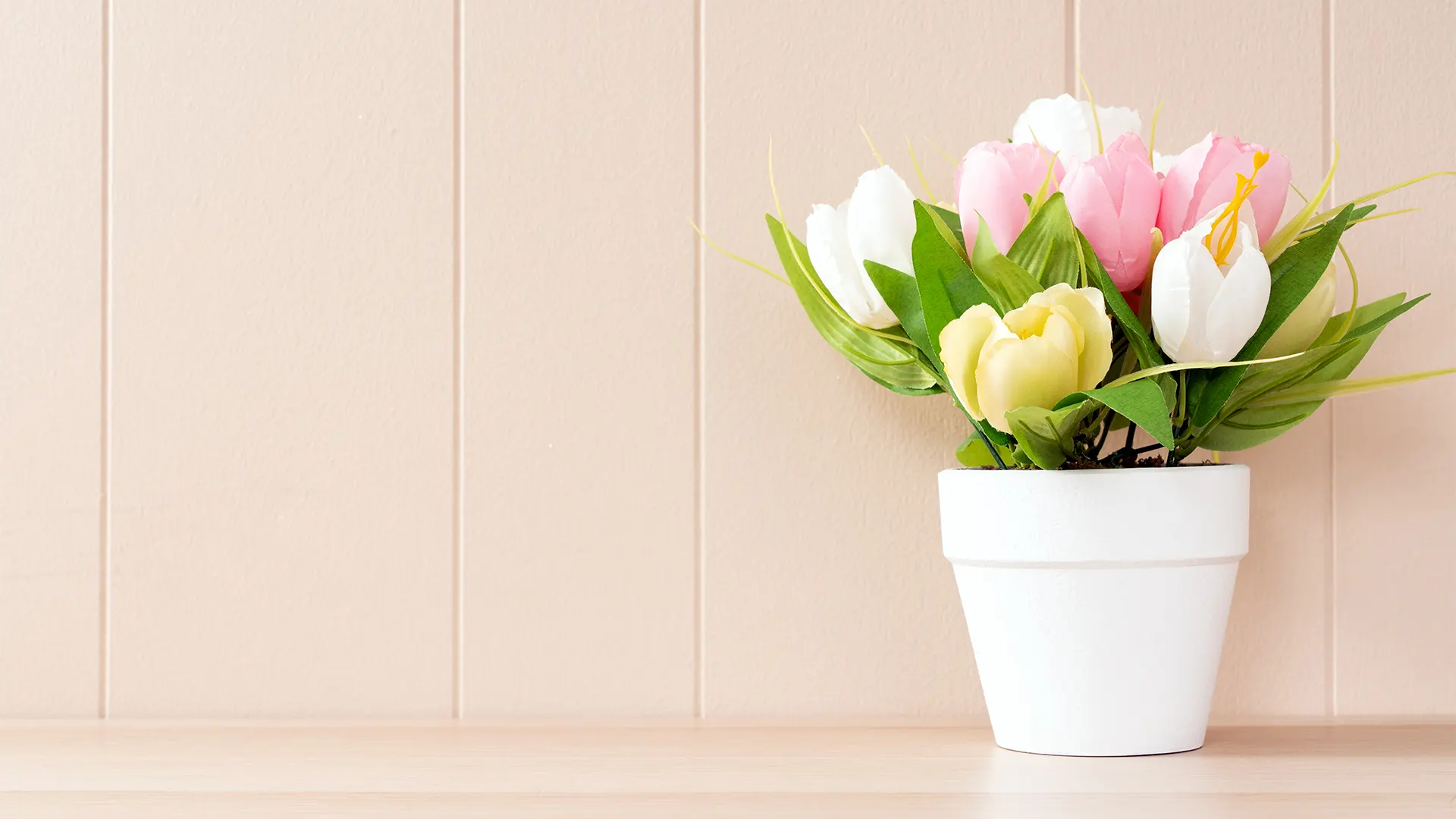 Tulipanes de florería La Ilusión