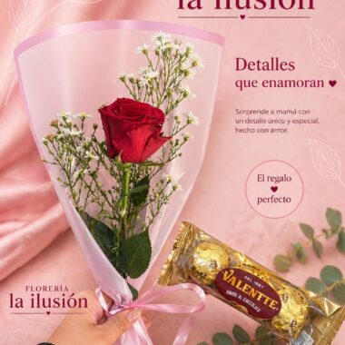Rosa arreglada + chocolate